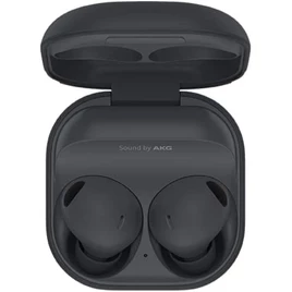 Galaxy Buds2 Pro Grafite